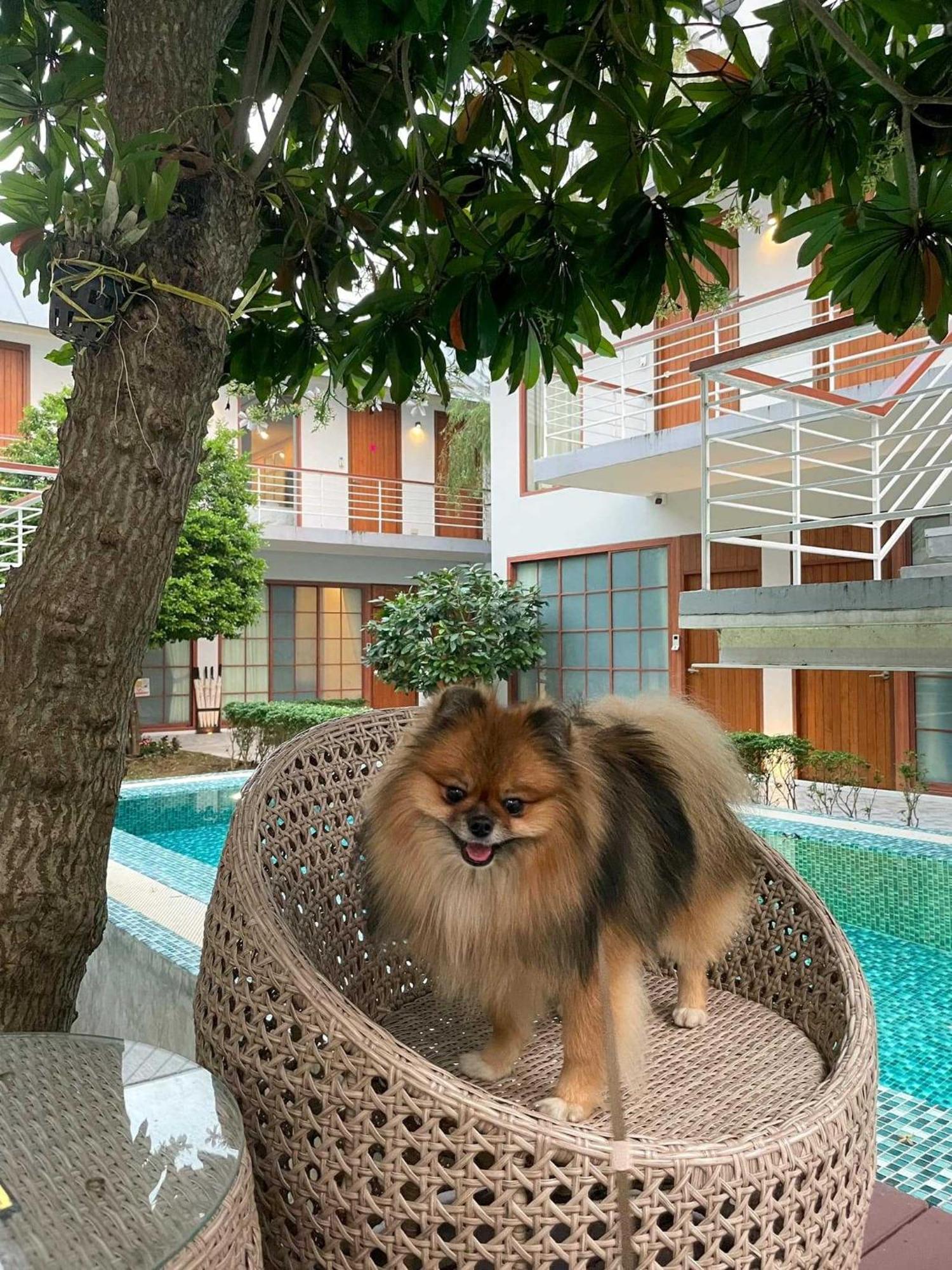 Four O'Clock Hotel Chiang Mai Exterior photo